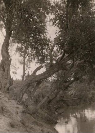 Israel. Jordan
