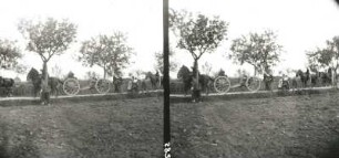 Herbstmanöver der Sächsischen Armee; Artillerie auf dem Marsch