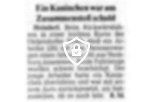 Ein Kaninchen war am Zusammenstoß schuld