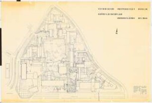Technische Universität Berlin Architekturgebäude, Außenanlagen: Grünflächenplan mit Plattenverlegung 1:500 gesamtes Nordgelände