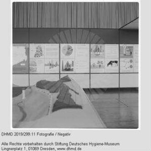 Hausausstellung - Raum 6 - Raumansicht