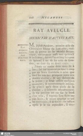 Rat Aveugle Nourri Par D'Autres Rats