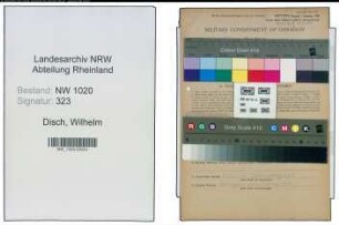 Entnazifizierung Wilhelm Disch , geb. 03.10.1887 (Arbeiter)