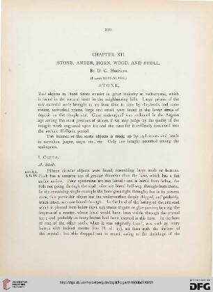 Chapter XII: Stone, Amber, Horn, Wood, and shell