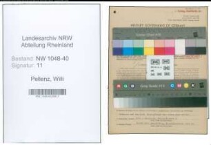 Entnazifizierung Willi Pellenz , geb. 13.04.1884 (Ingenieur)