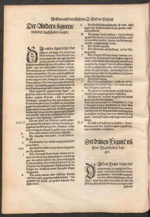 Der Andern figuren/ und irer buchstaben zaiger.