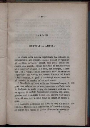 Capo III.
