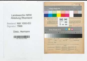 Entnazifizierung Hermann Dietz, geb. 27.06.1897 (Anstreicher)