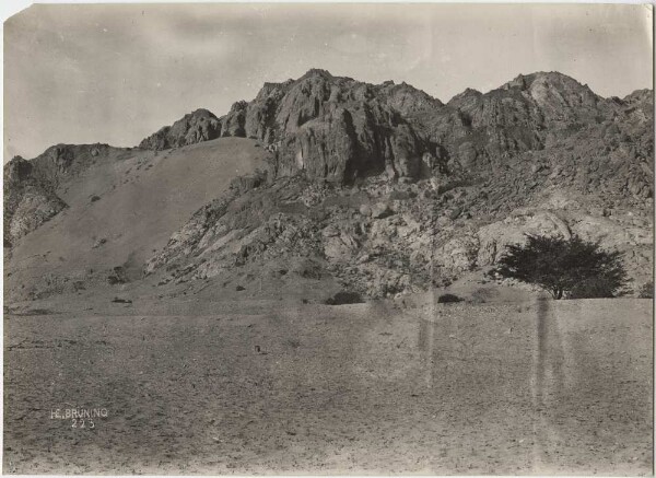 Ruins of the Cerro de Borró