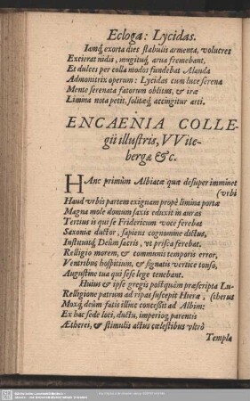 Enaenia Collogii illustris, Witebergae [et]c