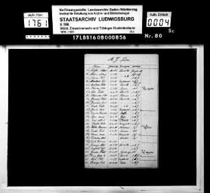 Maschinen-Gewehr-Schar