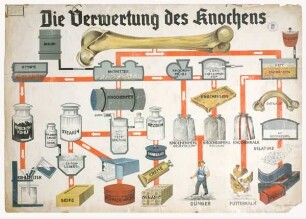 Die Verwertung des Knochens