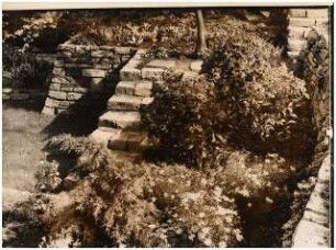 Garten Westermann, Hamburg-Blankenese: Treppe