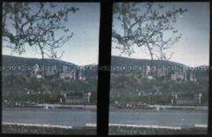 Blick über den Neckar auf das Schloss von Heidelberg