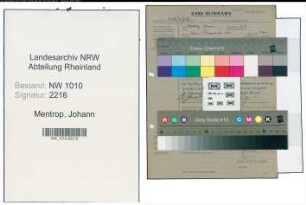 Entnazifizierung Johann Mentrop , geb. 06.02.1906 (Ingenieur)