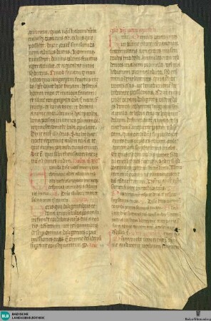 Missale, Fragment - Cod. Karlsruhe 1444