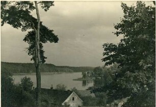 Fotografie, Driesen (Drezdenko)