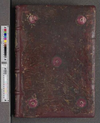 [Pilgerfahrt des träumenden Mönchs] : Cod. germ. 18