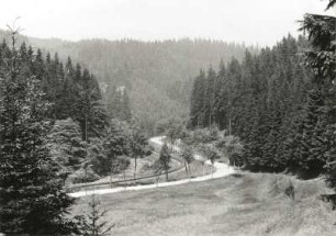 Schwarzwassertal : Westerzgebirge. Schwarzwassertal zwischen Jöhstadt und Schmalzgrube. Blick flußauf