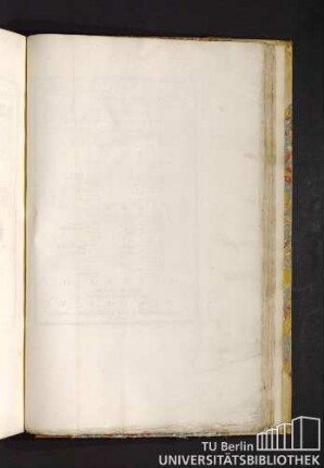 Tavola XII. Figura I, II, III, IV, V.