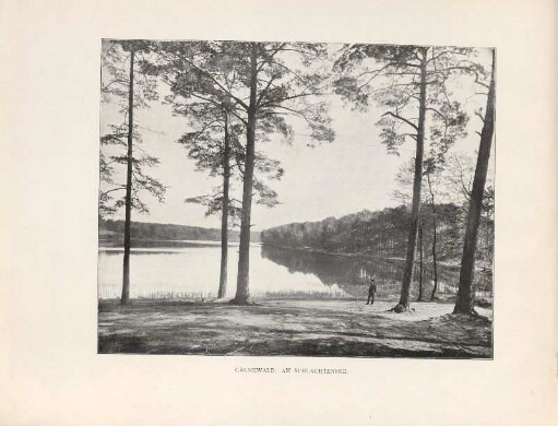 Grunewald. Am Schlachtensee