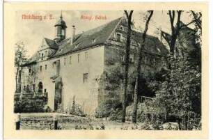 Mühlberg. Schloss