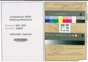 Entnazifizierung Heinrich Liefendahl , geb. 18.10.1902 (Schlosser)