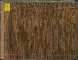 102 Keyboard pieces - BSB Mus.ms. 3195 : [without collection title]