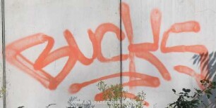 BucKS