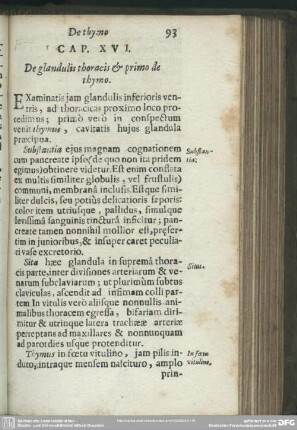 Cap. XVI. De glandulis thoracis & primo de thymo