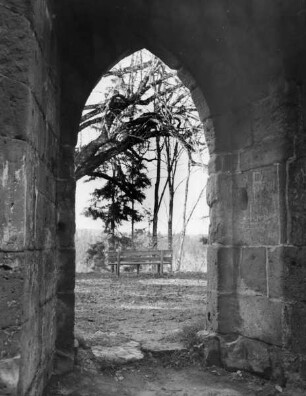 Burgruine Albeck