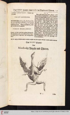 Das XXXV. Capitel. Von Montrosen Vögeln und Thieren