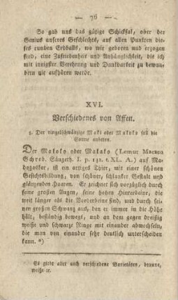 XVI. Verschiedenes von Affen