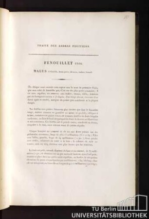 9. Fenouillet Gris. Malus anisata, fructu parvo, fulvastro, inodoro, brumali.