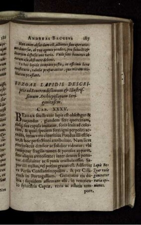 Bezoar Lapidis Descriptio ad Reverendissimum & Illustrissimum Archiepiscopum Strigoniensem