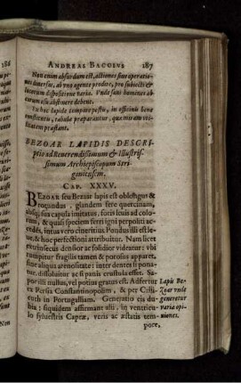 Bezoar Lapidis Descriptio ad Reverendissimum & Illustrissimum Archiepiscopum Strigoniensem