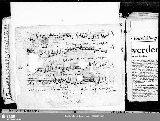 31 Anonymus: Ecce evangelizo vobis