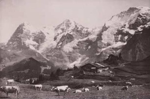 Berner Oberland. Eiger, Mönch, Jungfrau von der Oberbergalp bei Mürren.