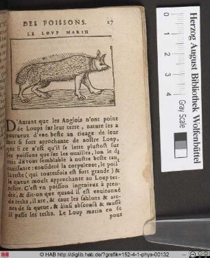 Le Loup Marin (Meerwolf).