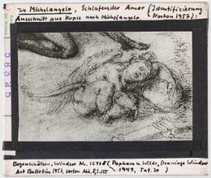 zu Michelangelo: Schlafender Amor, Ausschnitt aus Kopie nach Michelangelo