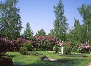 Hansjakob, Gottfried; München; Neuer Südfriedhof (Friedhof München) - Friedhofsgelände, Gräber