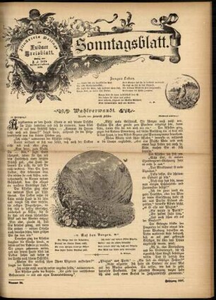 Ausgabe vom Sonntag, den 13. Juni 1897.
