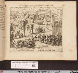 [Tyrannei in Haarlem]