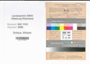 Entnazifizierung Wilhelm Schaub , geb. 12.06.1897 (Polizeibeamter)