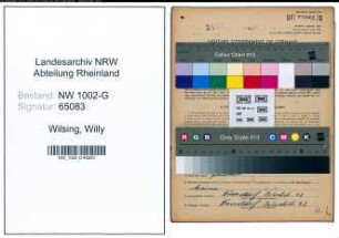 Entnazifizierung Willy Wilsing, geb. 29.02.1904 (Kunstgewerbler)