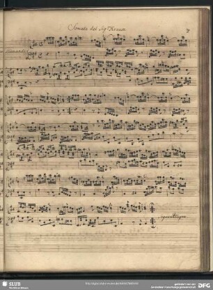V. Sonata . ... [C.G.] Krause