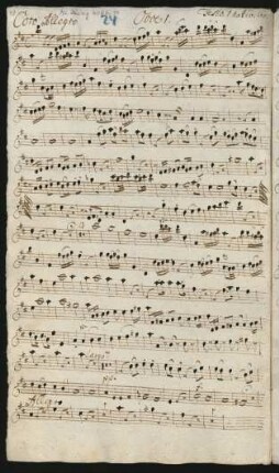 Oboe / Flauto traverso 1