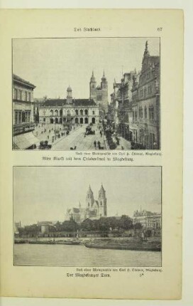 Der Magdeburger Dom