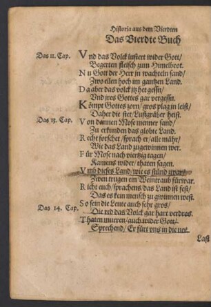 Das Vierdte Buch