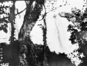 Wasserfall hinter Bäumen : Ein Wasserfall hinter Bäumen